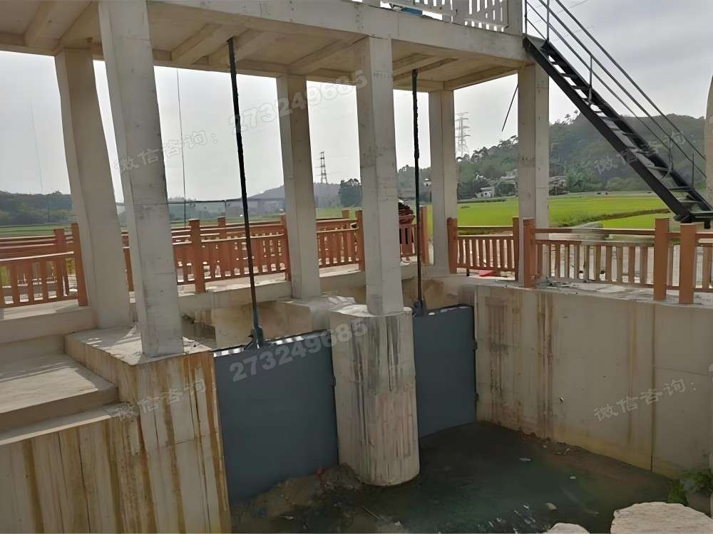 环翠农田渠道泵站闸门