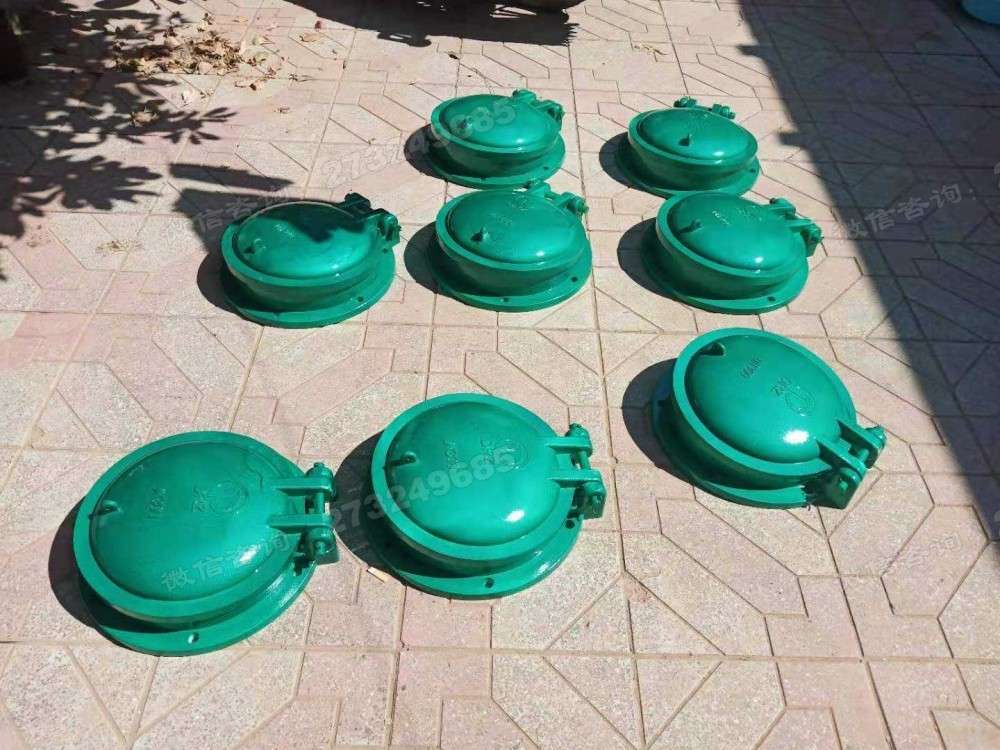 小河多规格小型玻璃钢拍门
