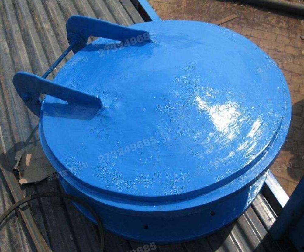宜兴蓝色单开拍门