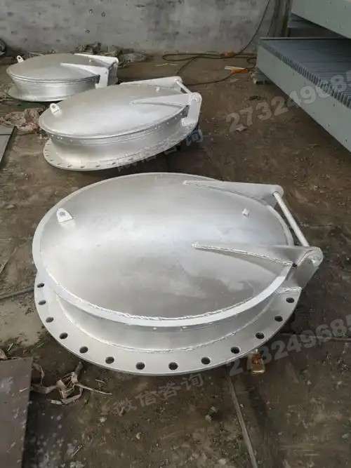 邗江大口径不锈钢拍门
