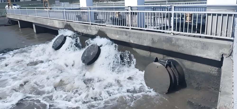 污水排放拍门