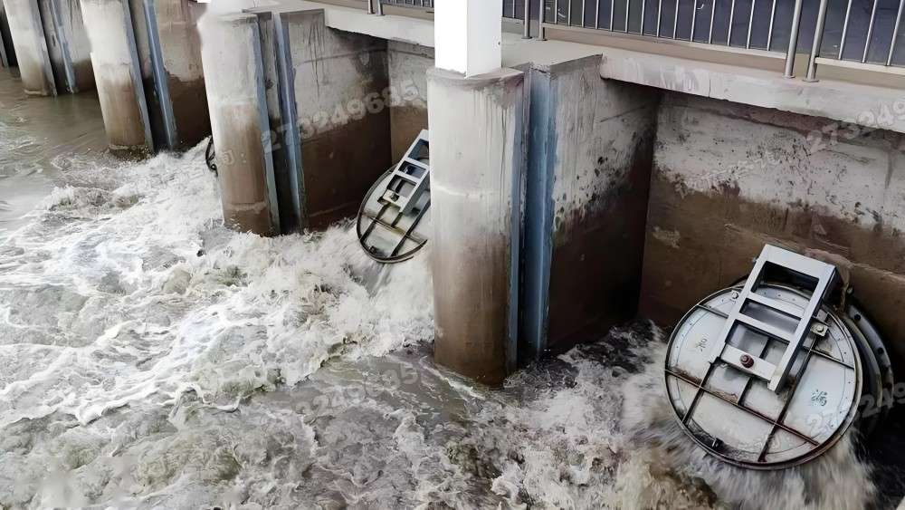 浔阳市政排水拍门