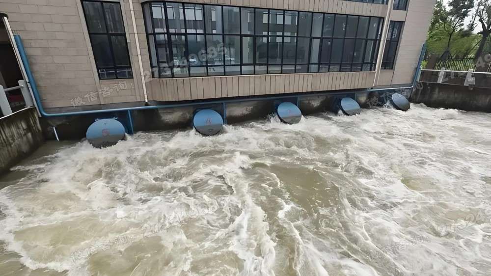 宜兴泵站多联拍门