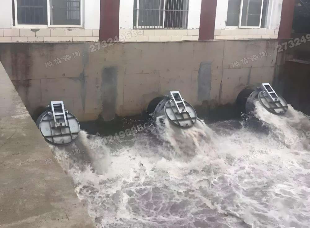 平桂管理三联排水拍门