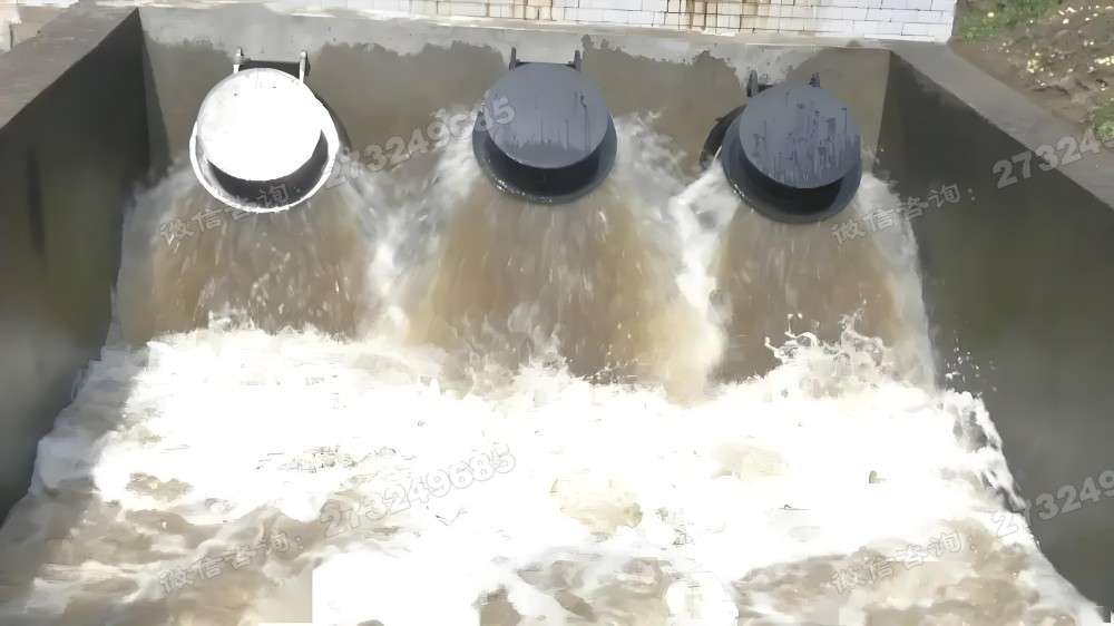 平桂管理泵站排水拍门