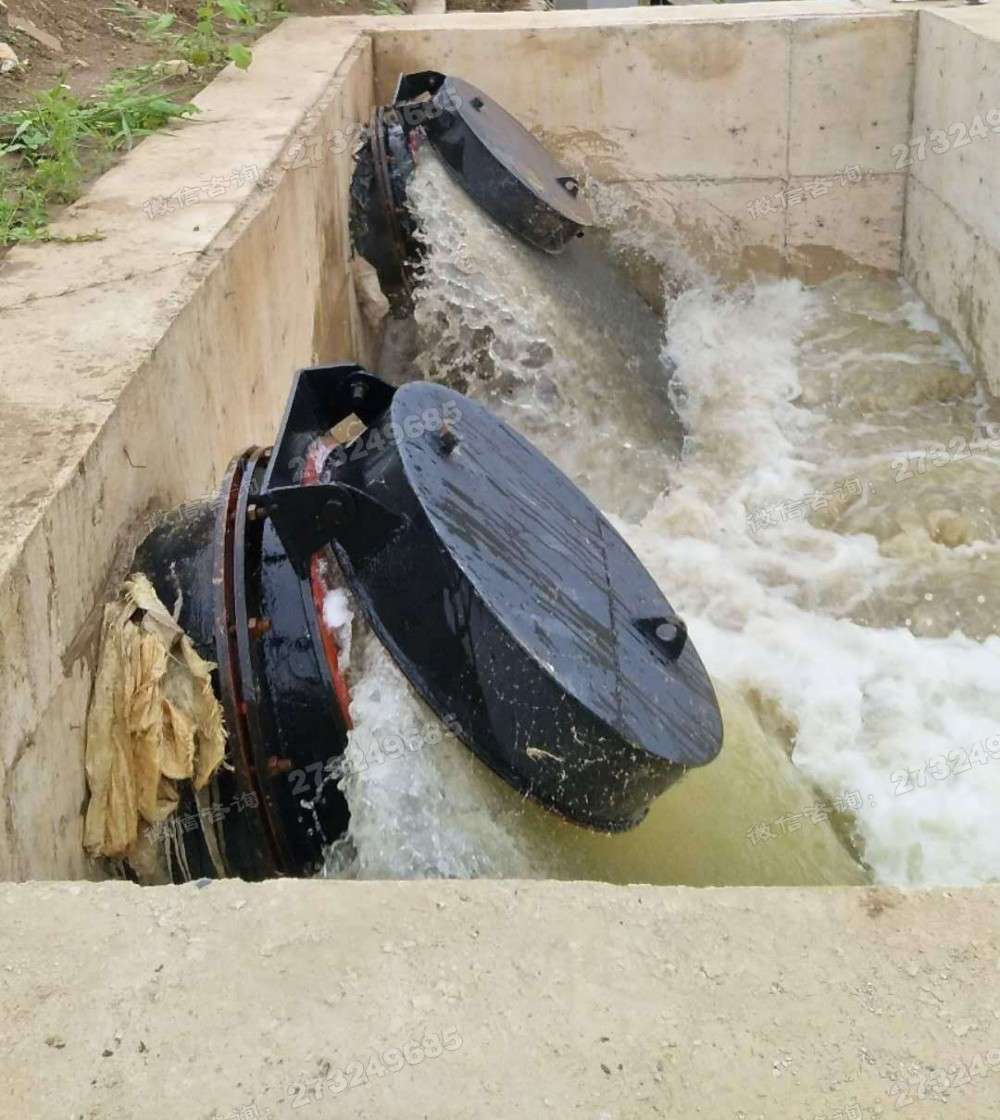 河道排水拍门