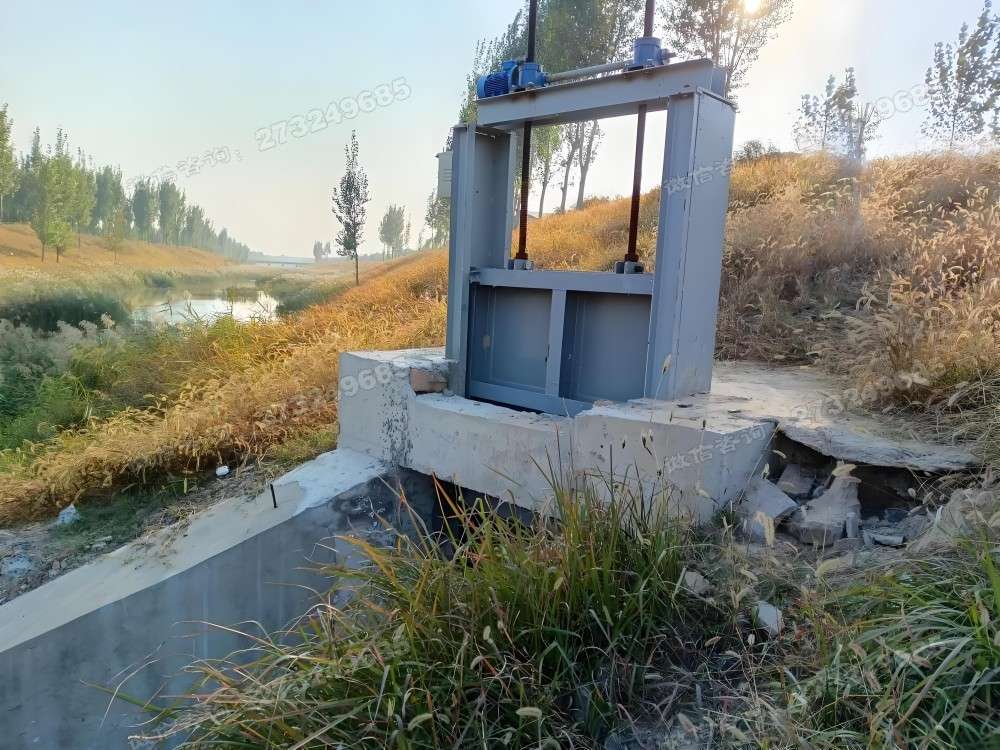 蓬安县河道控水钢制闸门