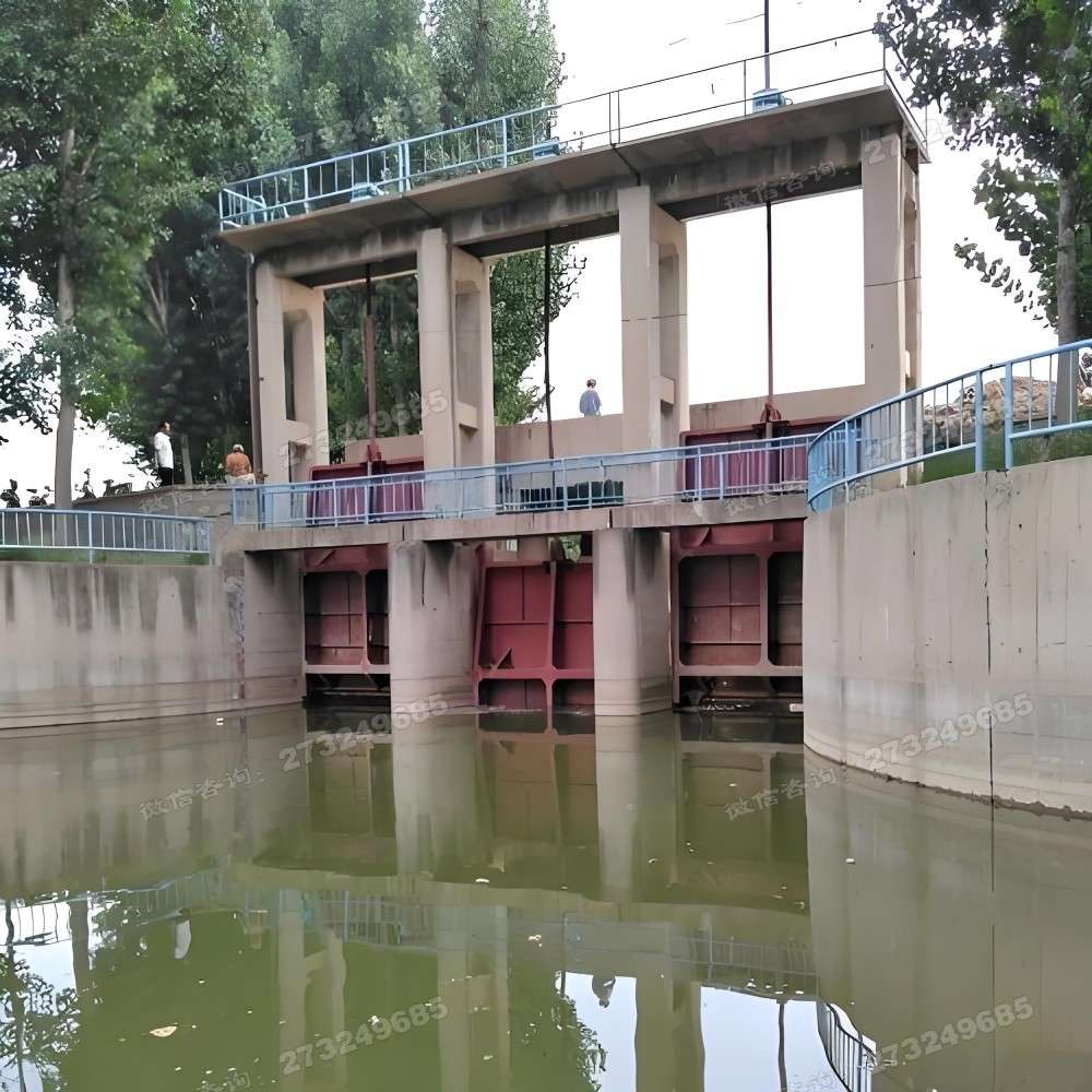 东湖大型渠道闸门