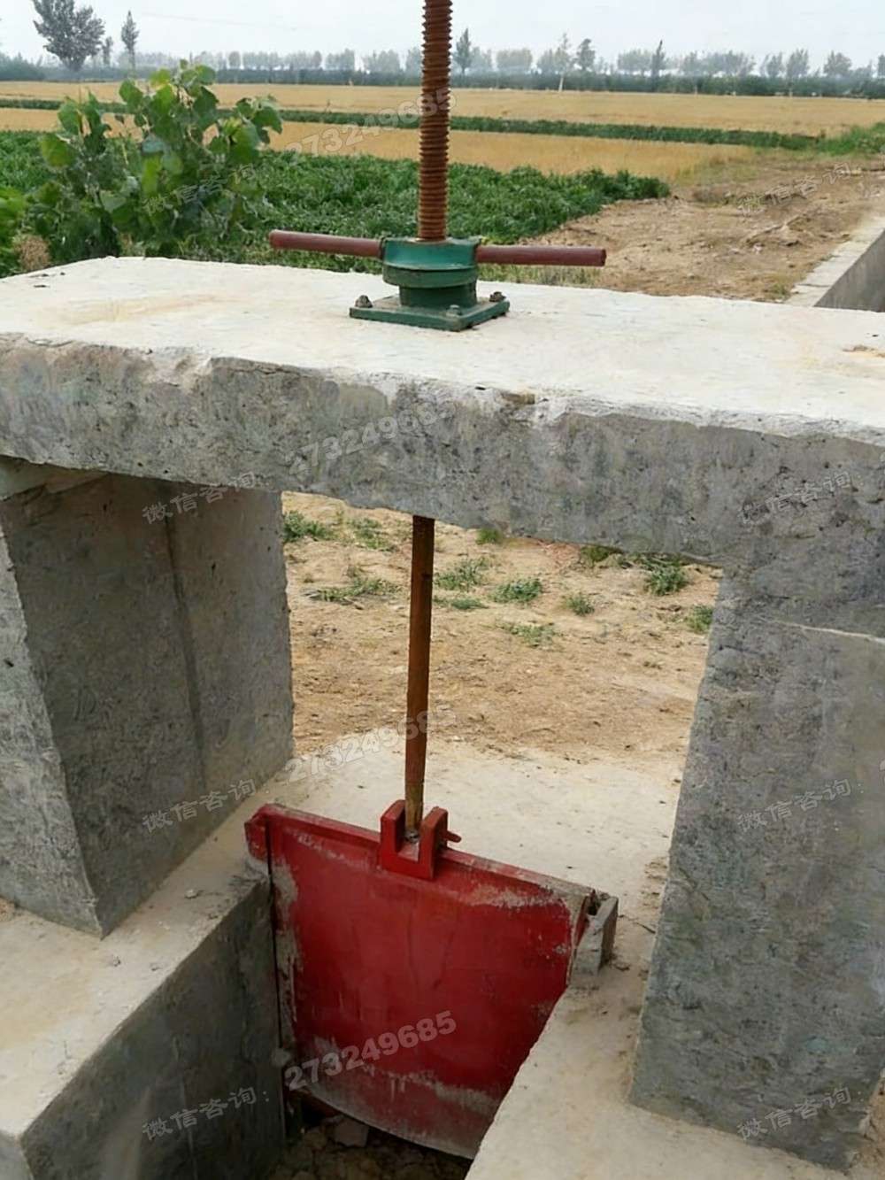 苍梧县双联电动闸门