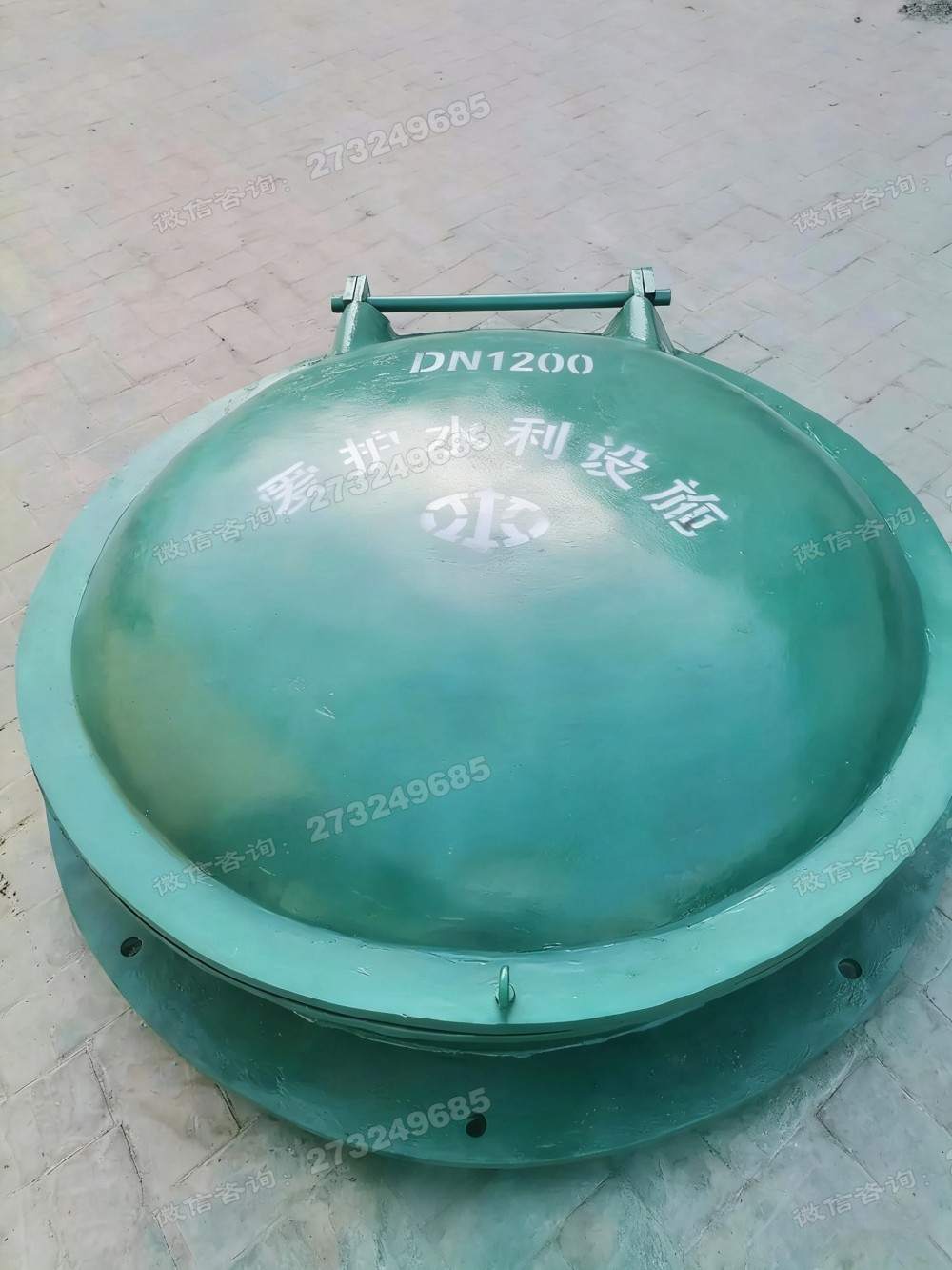 宜兴DN1200铸铁拍门
