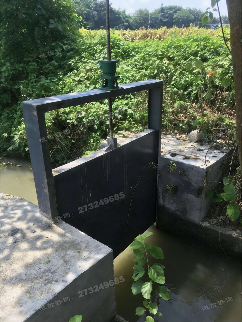邗江菜园灌溉钢制闸门