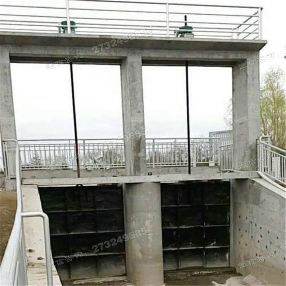 随州泵站双孔铸铁闸门